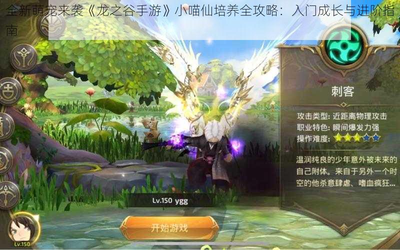 全新萌宠来袭《龙之谷手游》小喵仙培养全攻略:入门成长与进阶指南