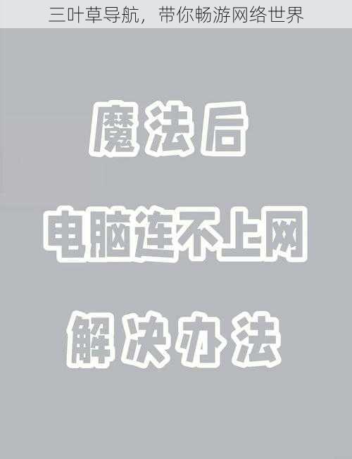 三叶草导航,带你畅游网络世界