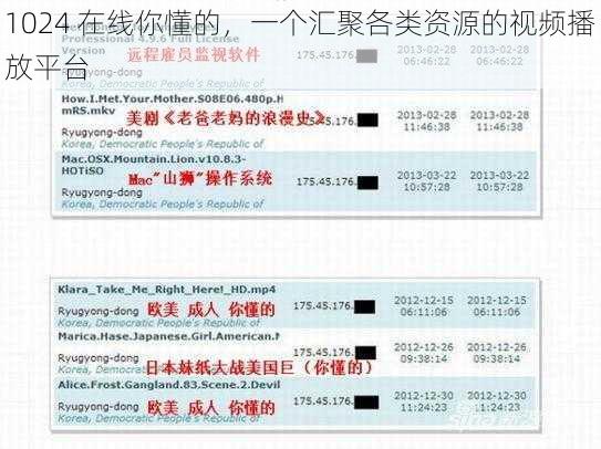 1024 在线你懂的，一个汇聚各类资源的视频播放平台