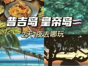 珊瑚岛夏季新貌揭秘：第2部分探寻生态繁荣与旅游新动向