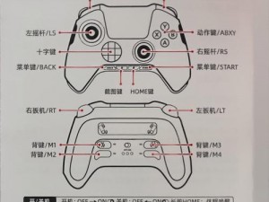 神力科莎竞速手柄设置详解指南：操作教程与最佳配置推荐手册