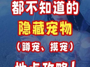 剑网三指尖江湖宠物攻略：全方位指南助你成为宠物大师