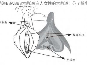 白人荫道BBwBBB大荫道(白人女性的大荫道：你了解多少？)