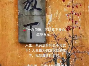 分开了就不要说抱歉：歌曲中的情感解脱与人生领悟