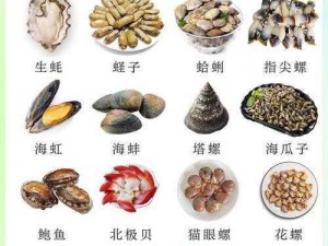 贝鱼的别名及其特性：深入了解这一水生生物的多重称呼与奥秘