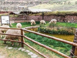 日本mokumoku农场_日本 mokumoku 农场：亲子游玩的绝佳选择