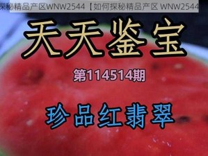 探秘精品产区WNW2544【如何探秘精品产区 WNW2544？】