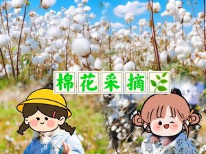 探索棉花奥秘：魔法种植园的收获之旅 一览棉花生长与获取之道