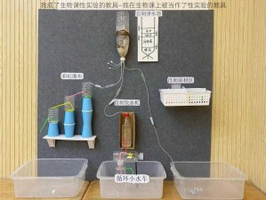 我成了生物课性实验的教具—我在生物课上被当作了性实验的教具