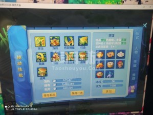 梦想世界3D之龙飞阵攻略：全方位解析克制关系与效果，揭秘龙飞阵战斗策略精髓