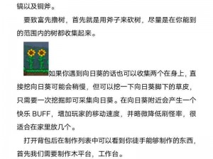 泰拉瑞亚战五渣逆袭之路：新手蜕变攻略教学视频，快速掌握游戏核心技巧