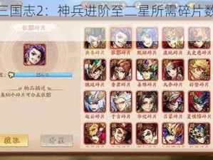 少年三国志2：神兵进阶至二星所需碎片数量详解