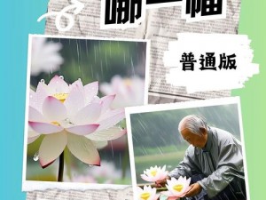 老人船上弄雨荷第13集介绍【老人船上弄雨荷第 13 集：神秘老人的秘密计划】