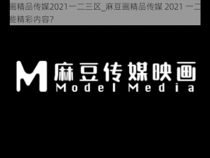 麻豆画精品传媒2021一二三区_麻豆画精品传媒 2021 一二三区有哪些精彩内容？