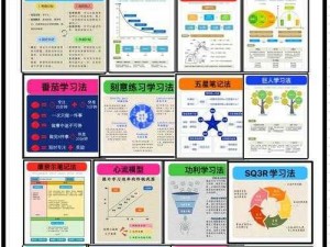 书翁技能入门：最低要求详解与技能提升路径探索