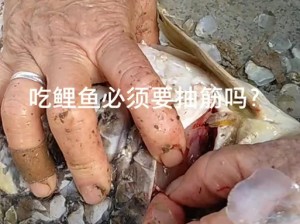 会鲤鱼吸水能抓住男人的心吗;会鲤鱼吸水能抓住男人的心吗？