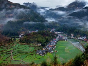 农村一级婬片A片野姓乡村(农村一级婬片 A 片野姓乡村，农民的性观念与性行为)