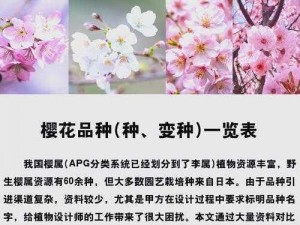 樱花官方入门网站、樱花官方网站是什么？