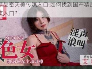 国产精品密天美传媒入口,如何找到国产精品密天美传媒入口？