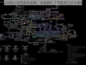 空洞骑士游荡躯壳攻略：深度解析游荡躯壳打法与策略