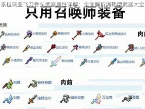 泰拉瑞亚飞刀骨头武器属性详解：全面解析消耗型武器大全