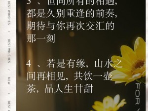 缘起情结：探寻人生中的结缘之美