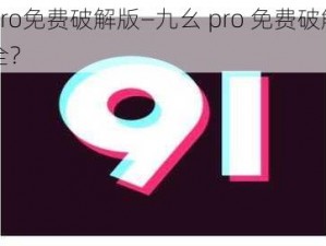 九幺pro免费破解版—九幺 pro 免费破解版是否安全？