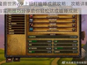 魔兽世界wlk上班打瞌睡成就攻略：攻略详解与实用技巧分享助你轻松达成瞌睡成就