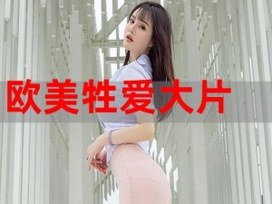 婬乱欧美韩一区二区三A片【探索婬乱欧美韩一区二区三 A 片的世界】