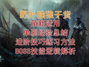 激战2平民玩家获取海量经验的秘诀攻略：实战技巧与高效途径探索