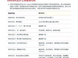 《Valorant游戏错误代码详解与解决方案》