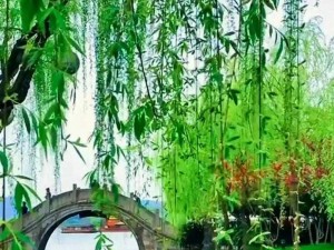 春季风采：万物复苏与生机勃发的季节特色研究