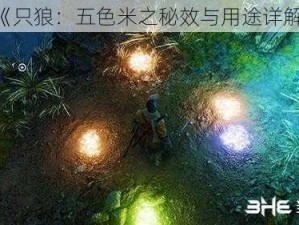 《只狼：五色米之秘效与用途详解》