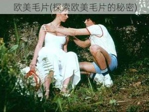 欧美毛片(探索欧美毛片的秘密)