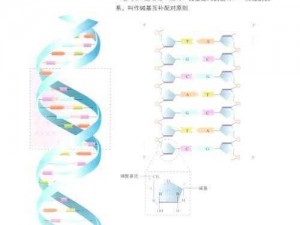 dnaandcellbiology(DNA 与细胞生物学的奥秘：从基础到前沿)