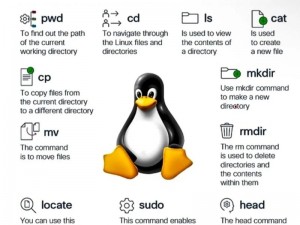 linux播放大片免费的方法、在 Linux 上免费播放大片的方法