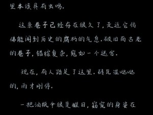 小巷子里的秘密113,小巷子里的秘密 113：是谁在夜晚徘徊？