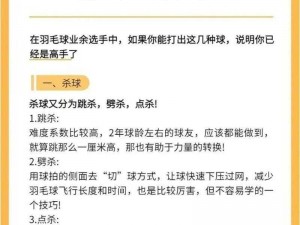 关于羽毛球高手接球关键之处的深度解析：技巧与战略的融合之道