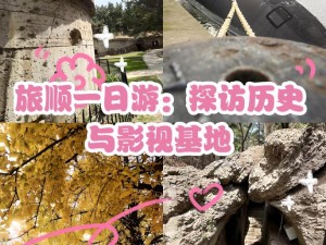 顺游自然，探索未知的旅程之旅——追寻历史与现代的交汇点