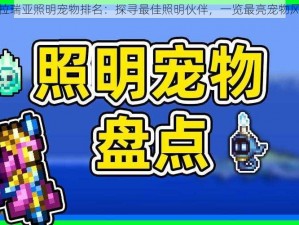 泰拉瑞亚照明宠物排名：探寻最佳照明伙伴，一览最亮宠物风采