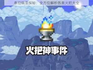 泰拉瑞亚探秘：全方位解析各类火把大全