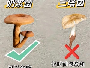 蘑菇视频一区二区_如何评价蘑菇视频一区二区的内容和功能？