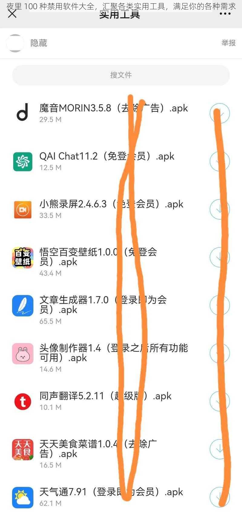 夜里 100 种禁用软件大全，汇聚各类实用工具，满足你的各种需求