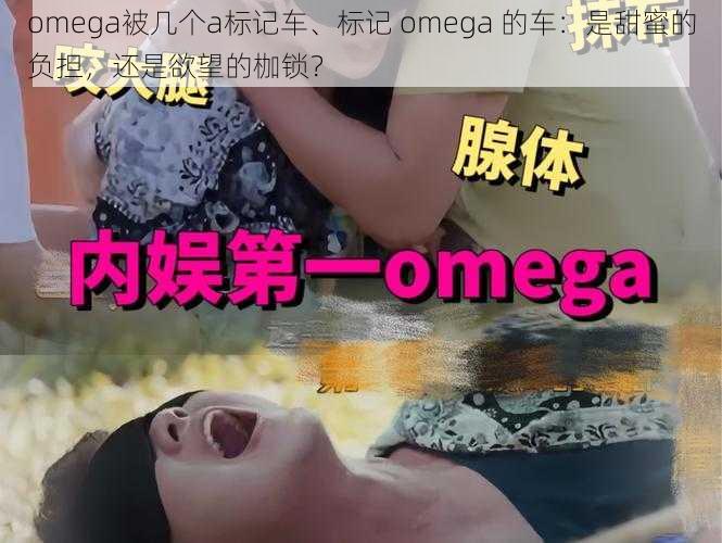 omega被几个a标记车、标记 omega 的车：是甜蜜的负担，还是欲望的枷锁？