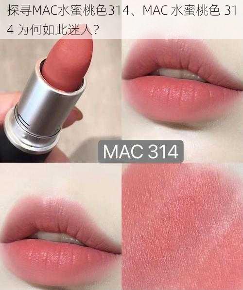 探寻MAC水蜜桃色314、MAC 水蜜桃色 314 为何如此迷人？