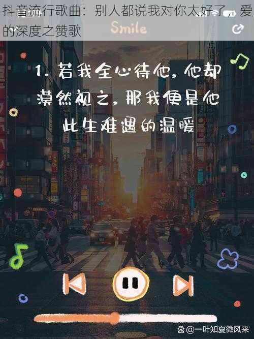 抖音流行歌曲：别人都说我对你太好了，爱的深度之赞歌