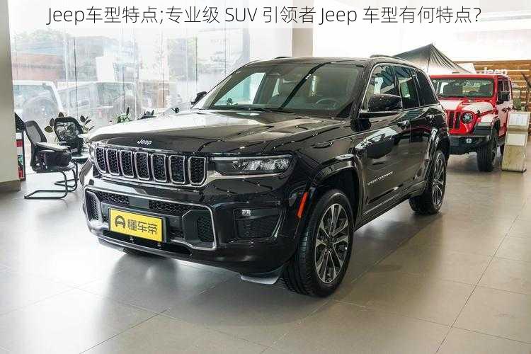 Jeep车型特点;专业级 SUV 引领者 Jeep 车型有何特点？