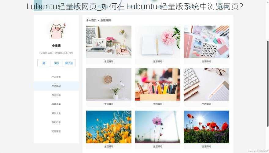 Lubuntu轻量版网页_如何在 Lubuntu 轻量版系统中浏览网页？