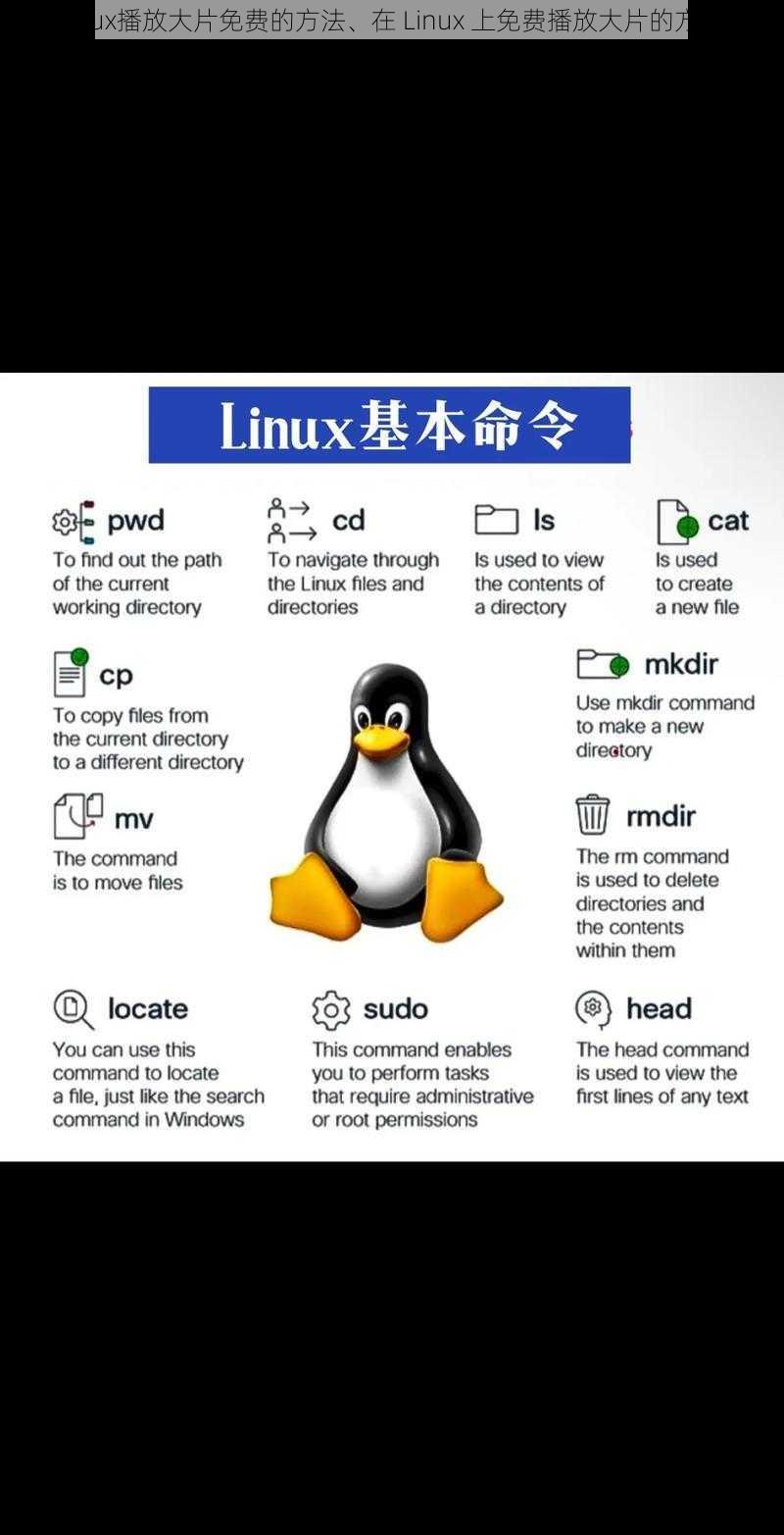 linux播放大片免费的方法、在 Linux 上免费播放大片的方法