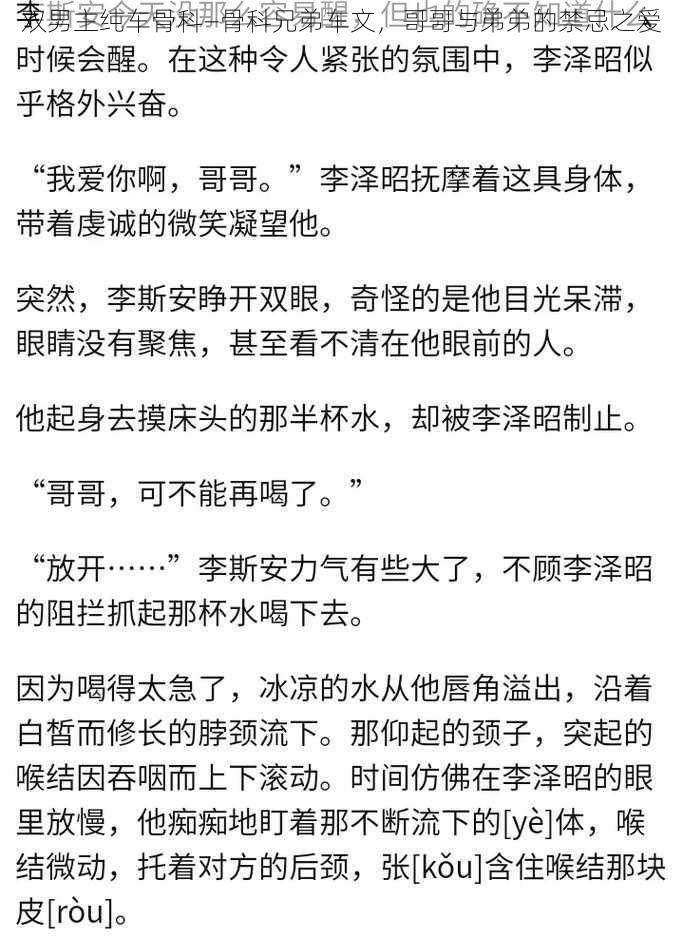 双男主纯车骨科—骨科兄弟车文，哥哥与弟弟的禁忌之爱